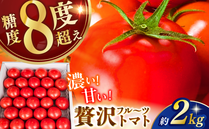 【先行予約】高知県高知市産 贅沢フルーツトマト 約2kg 〈2026年2月から発送〉 【片山農園】[ATCI001]