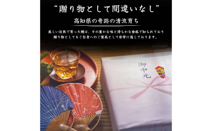 高知県産 うなぎ 長蒲焼2尾 約160g×2 (2〜4人前)/ 鰻 ウナギ 土用丑の日 高知産 うなぎ 【土佐黒潮水産】 [ATCQ009]
