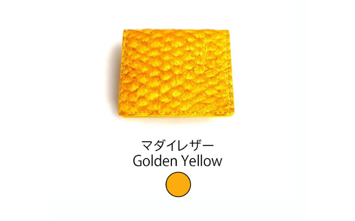 【Golden Yellow】Ocean Leather BOXコインケース【マダイ】【興洋フリーズ株式会社】 [ATBX068-04]