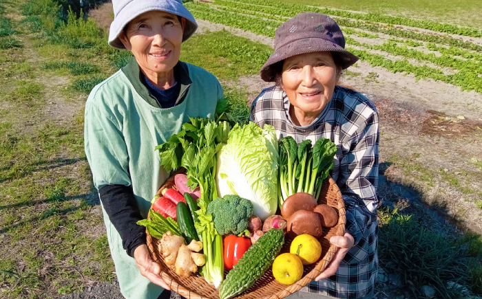 高知県産 土佐季節の野菜詰め合せセット 【香稜苑】 [ATBQ001]