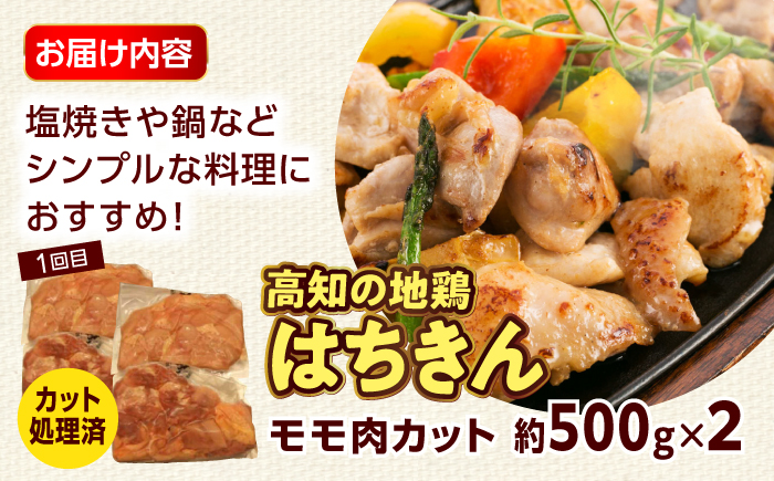 【3回定期便】高知の肉定期便〈はちきん地鶏・土佐あかうし・ハンバーグ〉大容量セット【合同会社土佐あぐりーど】 [ATBO035]