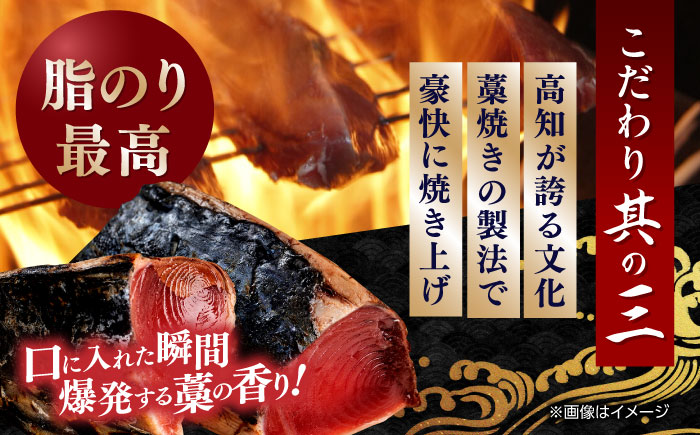 龍馬鰹たたき 約600g かつお カツオ わらやき 高知 【株式会社 七和】 [ATAX001]
