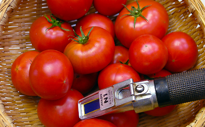 トマトジュース500ml×1本 ＆ トマトケチャップ250g×2本 / 贅沢トマトセット トマト ジュース ケチャップ 調味料 【株式会社　堀】 [ATDA002]