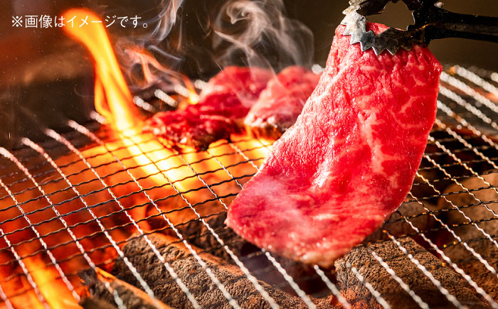 土佐あかうし　バラ焼肉（スライス）約500g / 和牛【高知県食肉センター株式会社】 [ATFC017]