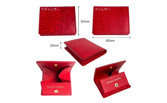 【Carmine】Ocean Leather BOXコインケース【マダイ】【興洋フリーズ株式会社】 [ATBX068-05]