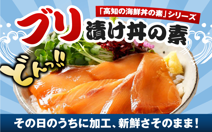 高知の海鮮丼の素「ぶりの漬け」約80g×10パック 【興洋フリーズ株式会社】 [ATBX032]
