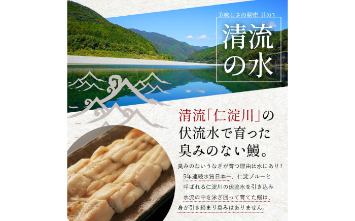 完全無投薬 仁淀川の伏流水で育てた贅沢うなぎ蒲焼き 中 (約150g×2尾) ギフトセット 池澤鮮魚 【池澤鮮魚オンラインショップ】 [ATBE006]