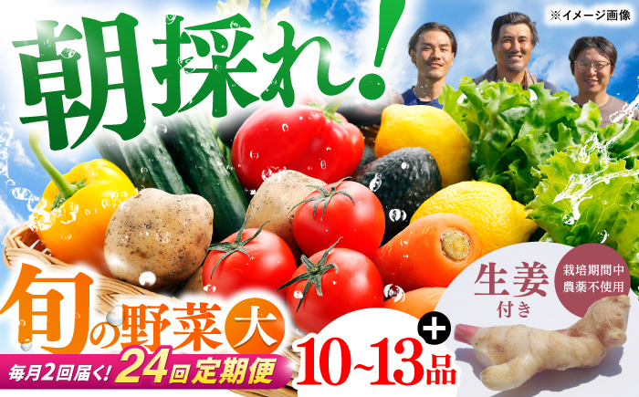 【24回定期便・月2回配送】 土佐の太陽をいっぱいに浴びた旬の野菜10〜13品目と生姜約100gのセット / 高知 土佐 旬 野菜 生姜 詰め合わせ セット 仕送り 【土佐野菜】 [ATBA017]