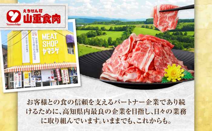 【3回定期便】牛肉 いろどりセット 総計7.5kg 切り落とし すき焼き 焼肉 ハンバーグ 【(有)山重食肉】 [ATAP196]