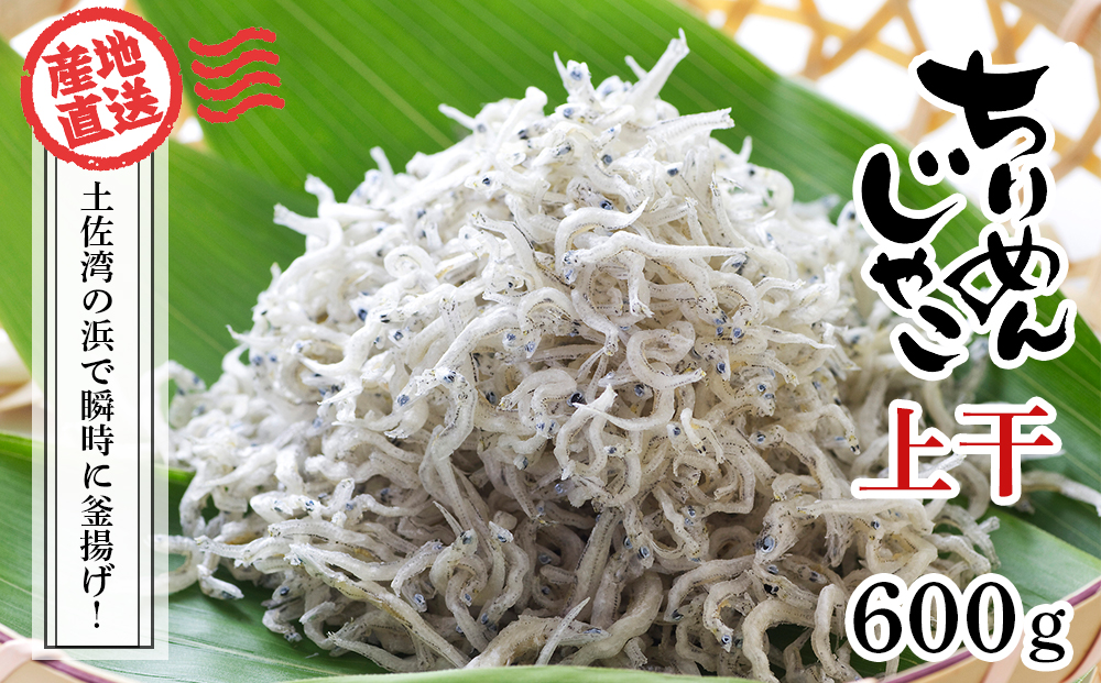 ちりめんじゃこ(上干)　約600ｇ（約300ｇ×2袋）鮮度日本一を目指します！浜で瞬時に釜揚げ