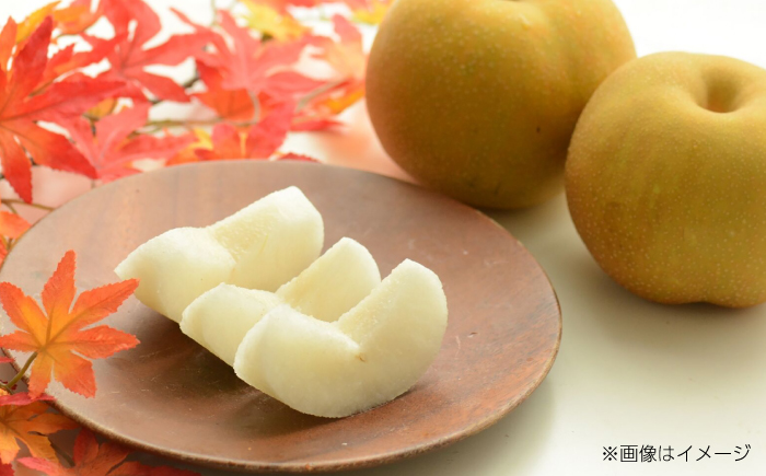 【先行予約】 川渕果樹園 秋月梨 約2kg 家庭用 〈2025年10月〜発送〉 / 梨 なし ナシ 果物 フルーツ デザート 秋 甘い ジューシー 【株式会社Dorago】 [ATAM058]