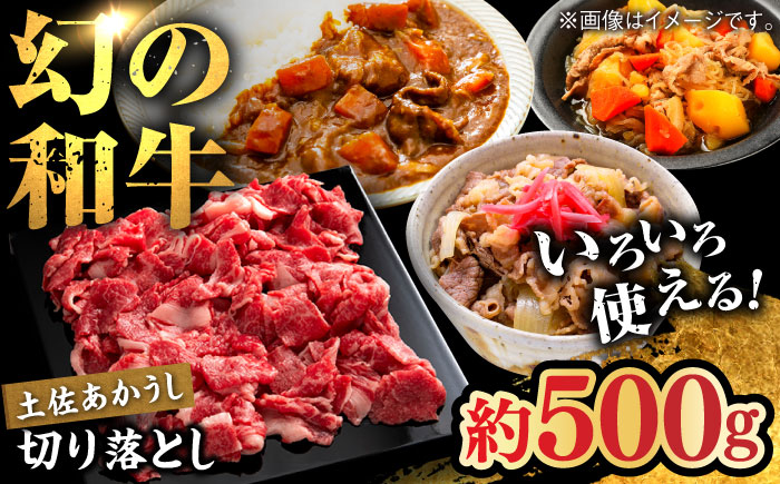 土佐あかうし　切り落し　約500g【高知県食肉センター株式会社】 [ATFC019]