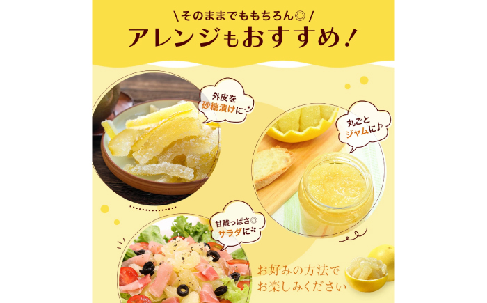【先行予約】高知県産 訳あり 土佐文旦 約10kg 〈2026年3月〜発送〉 / 傷 シミの訳アリ 大容量 ぶんたん 文旦 訳あり わけあり 果物 【株式会社　四国健商】 [ATAF038]