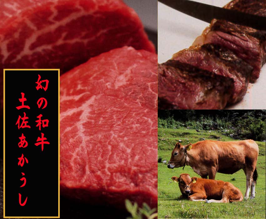 土佐あかうし　カルビ（焼肉用）約500g | 吉岡精肉店　幻の和牛