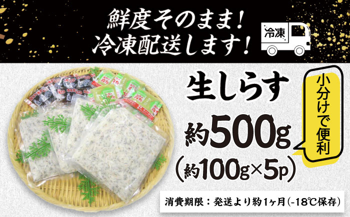 高知産「生シラス」イワシ稚魚100g×5パック入り (タレ付)【興洋フリーズ株式会社】 [ATBX003]