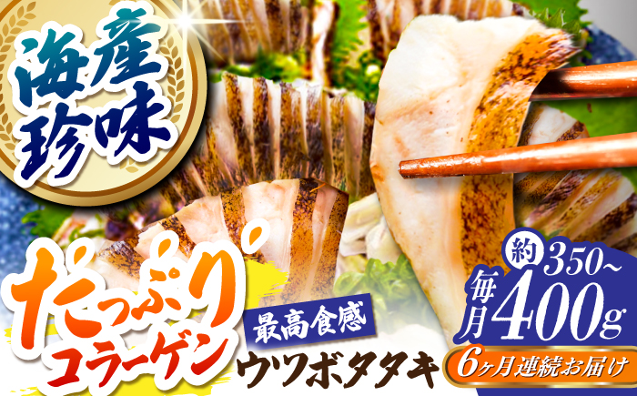 【6回定期便】高知県産 ウツボのタタキ 約350g~約400g 総計約2.1kg〜約2.4kg 【株式会社 四国健商】 [ATAF141]