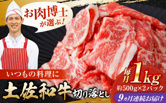 【9回定期便】高知県産 土佐和牛 切り落とし 炒め物 すき焼き用 約1kg×9ヵ月 総計約9kg [ATAP097]