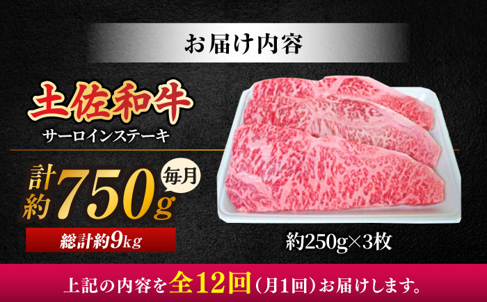 【12回定期便】土佐黒毛和牛 サーロインステーキ (約250g×3枚) 総計約9kg 【株式会社 四国健商】 [ATAF130]