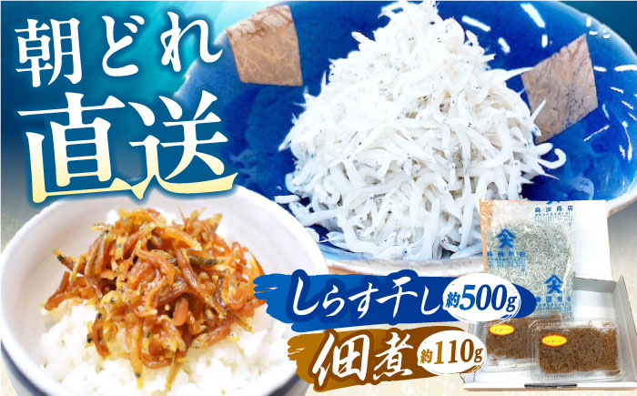 しらす干し（約500g）と佃煮（約110g）セット/森国商店 浜で瞬時に釜出し 高知のしらす【グレイジア株式会社】 [ATAC485]