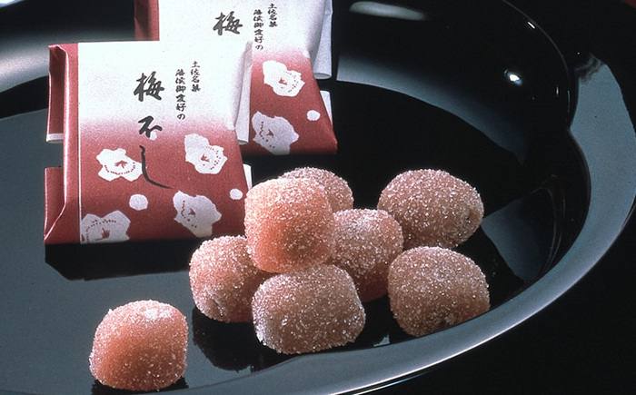 西川屋 元祖ケンピ・梅不しセット 〈元祖けんぴ1箱・梅不し各6個入り×2箱〉 / けんぴ 芋ケンピ 芋 ケンピ おやつ さつまいも さつま芋 梅不し 和菓子 芋スイーツ 高知県 高知 【西川屋老舗】 [ATHS009]