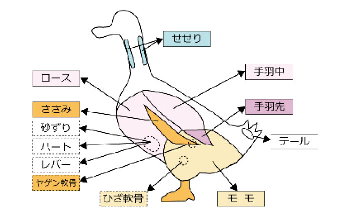 土佐鴨 かも鍋セット 土佐鴨 土佐ジロー飼育研究会 【グレイジア株式会社】 [ATAC585]