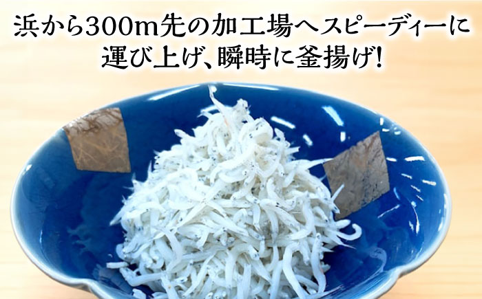 釜揚げしらす 約1.8kg (約300g×6袋) 浜で瞬時に釜出し 高知のしらす 【グレイジア株式会社】 [ATAC081]