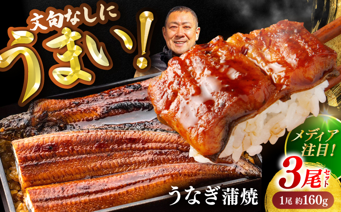 高知県産 うなぎ 長蒲焼3尾 約160g×3 (3〜6人前)/ 鰻 ウナギ 土用丑の日 高知産 うなぎ 【土佐黒潮水産】 [ATCQ010]