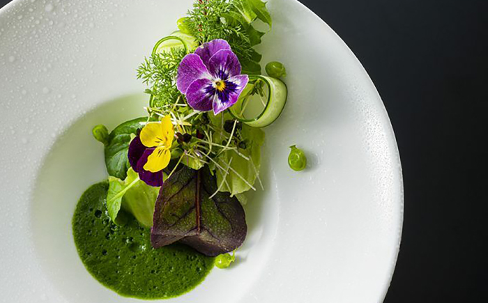 オーベルジュ土佐山 ホテル棟＜1泊2食付ペア宿泊券＞ 【オリエントホテル高知株式会社】 [ATFF001]