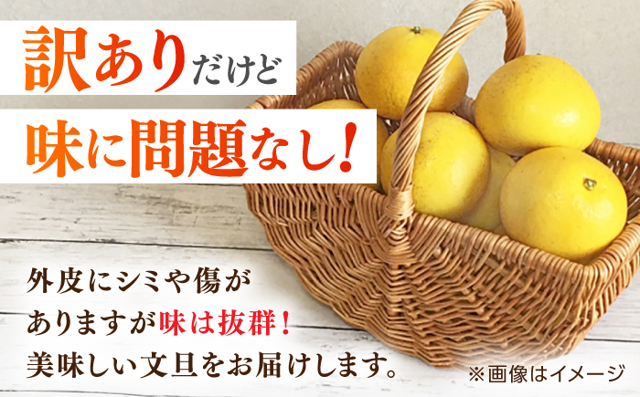 【先行予約】高知県産 訳あり 土佐文旦 約5kg 〈2025年2月〜発送〉 / 傷 シミの訳アリ  大容量 ぶんたん 文旦 訳あり わけあり 果物 【株式会社　四国健商】 [ATAF149]