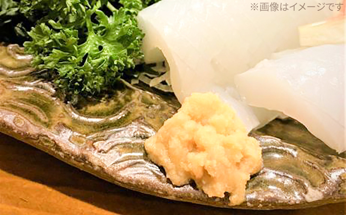 高知そだちのしょうがだけ 約50g×10パック / しょうが ショウガ 生姜 国産 高知 調味料 パウチ 【Japan Ginger 株式会社】 [ATFD004]