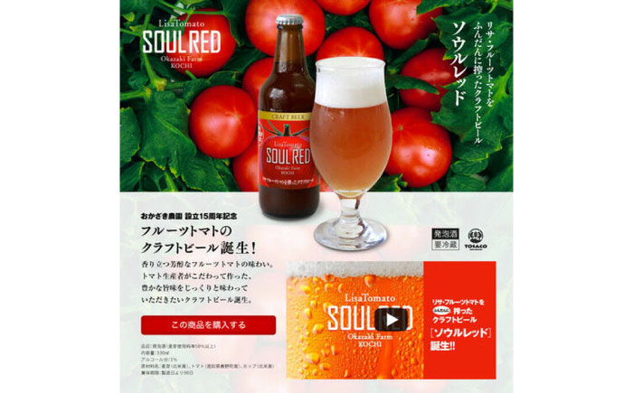 クラフトビール ソウルレッド6本セット 【株式会社　堀】 [ATDA004]