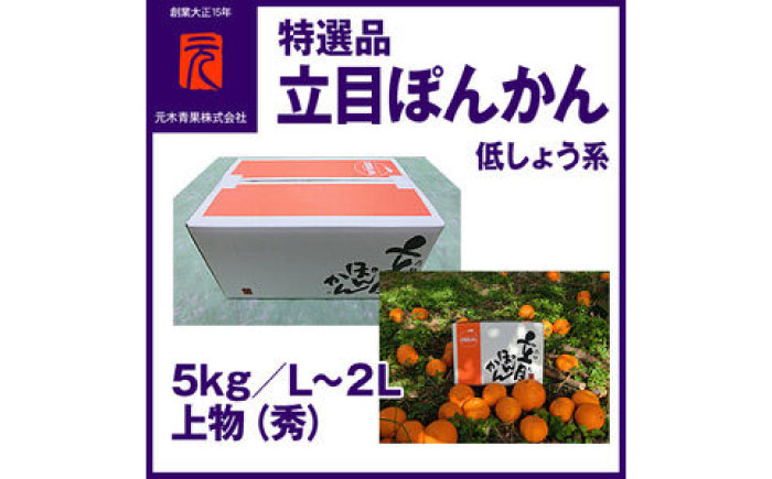 特選品立目ぽんかん（低しょう系）約5kg | L〜２L 上物（秀）【グレイジア株式会社】 [ATAC332]