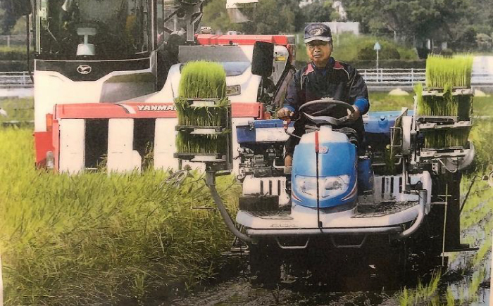 【年内発送 12/23入金分迄】農薬節減！ R7年度産 特別栽培米 白鷺米 にじのきらめき 約5kg ＜2025年9月中旬〜発送＞ / 高知 米 お米 精米 　【津ノ宮農園】[ATBV017]