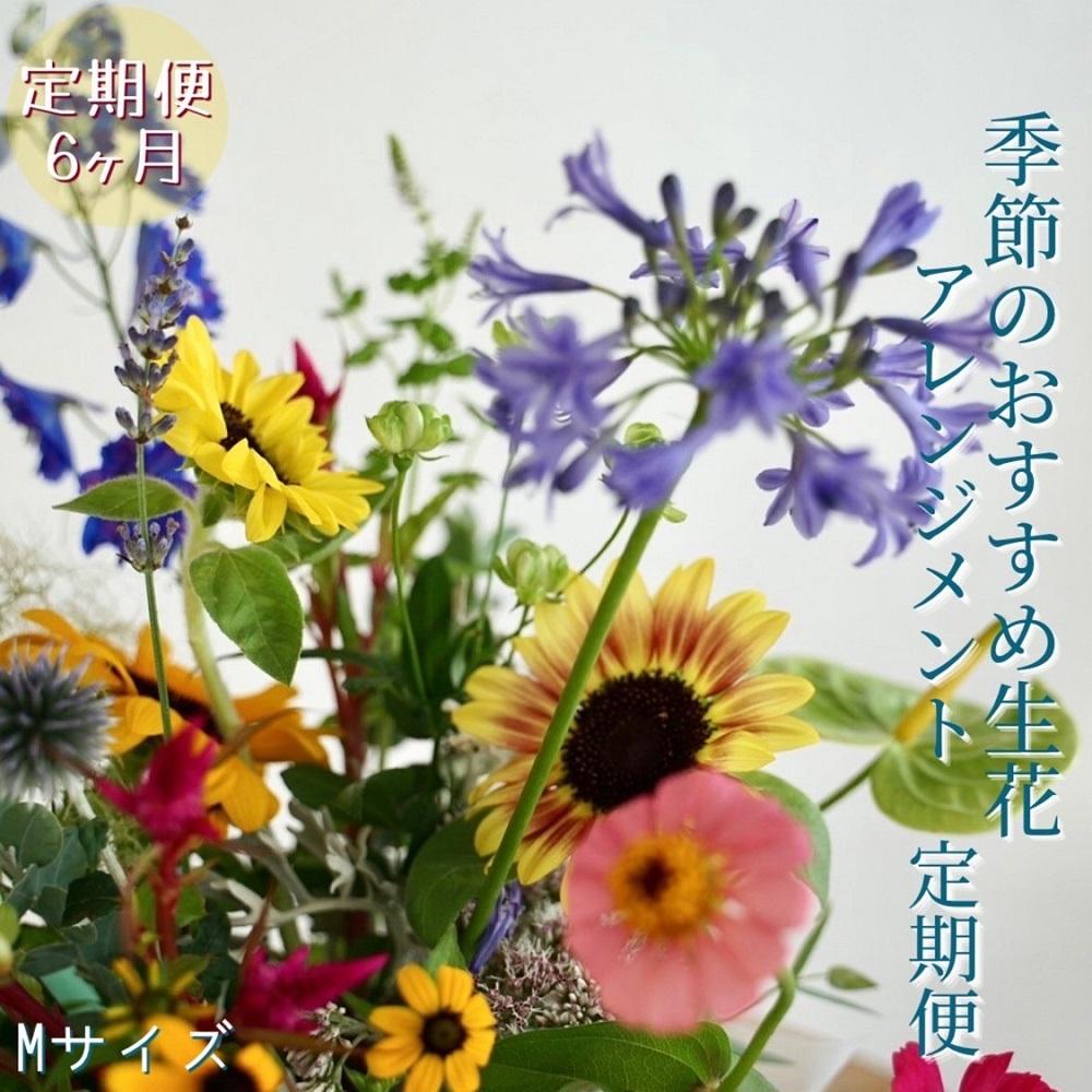 《定期便6ヵ月》おすすめ生花アレンジメントM