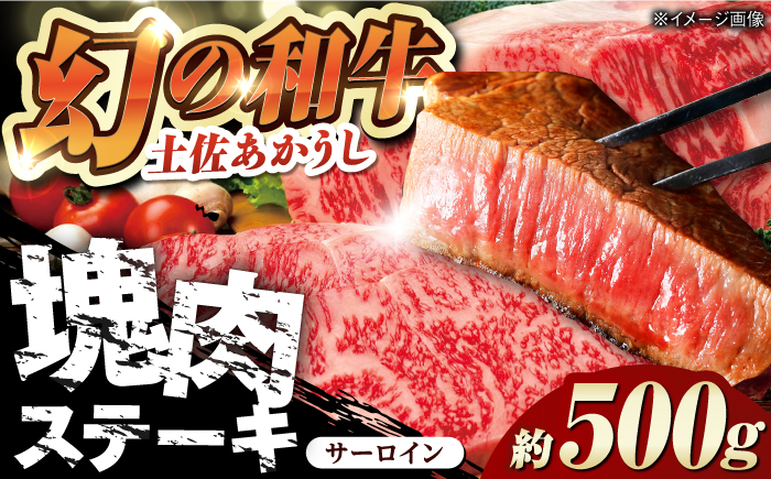 土佐あかうし 塊肉ステーキ 約500g（サーロイン）【株式会社Dorago】 [ATAM045]