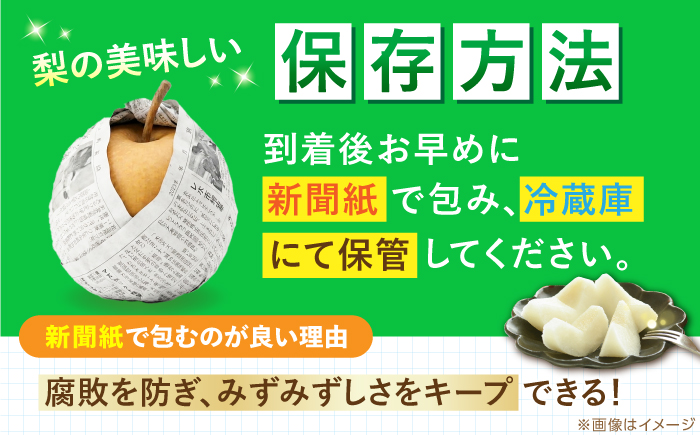 【先行予約】 新高梨 秀 約2kg（2玉） 〈2026年9月20日～2026年10月末発送〉 【川渕果樹園】 [ATHX005]