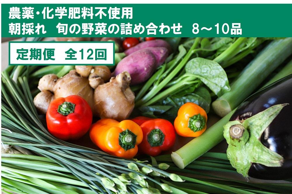 『定期便』【栽培期間中農薬・化学肥料不使用】土佐の太陽をいっぱいに浴びた旬の野菜セット小（12回配送）