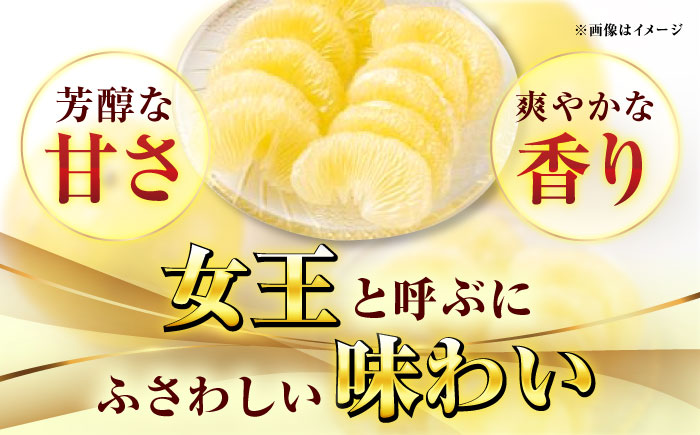 【9月下旬頃より発送】高知県産 水晶文旦 約3kg 7玉入 【株式会社　四国健商】 [ATAF031]