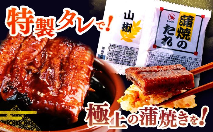 訳あり 鰻蒲焼きカット　約50g×20　タレ(山椒)付　【株式会社七和】 [ATAX035]