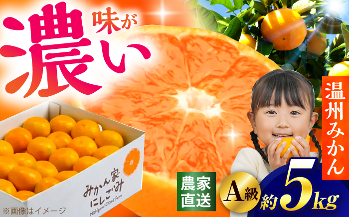 ＜サイズおまかせ＞高知県産温州みかんA級品 約5kg / みかん 柑橘 オレンジ 高知県 温州 【株式会社にしごみ】 [ATEA009]