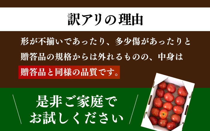 【先行予約】高知市産 ご家庭用フルーツトマト約1kg 〈2025年1月より発送開始〉 【株式会社 堀】 [ATDA007]