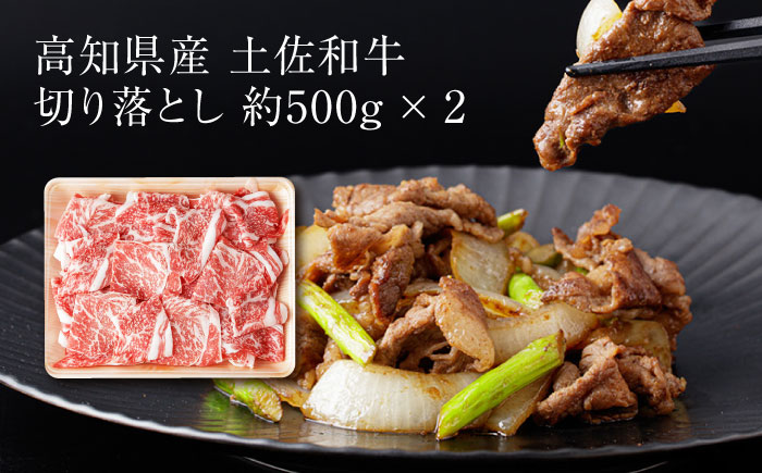 【3回定期便】お肉の定期便 バラエティセット (3ヵ月) 総計約9kg 国産 牛肉 切り落とし 豚肉 バラ 肩ロース 【(有)山重食肉】[ATAP076]