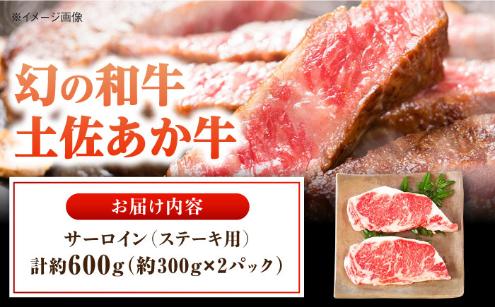 土佐あかうし サーロイン　ステーキ用 約300g×2パック/牛肉 国産 和牛 高知 牛肉 にく【株式会社Dorago】 [ATAM042]