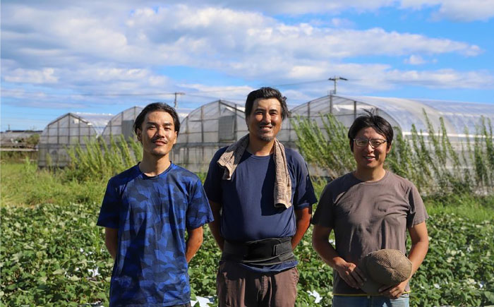 【3回定期便】 土佐の太陽をいっぱいに浴びた旬の野菜生姜約200gのセット「小」 【土佐野菜】 [ATBA011]