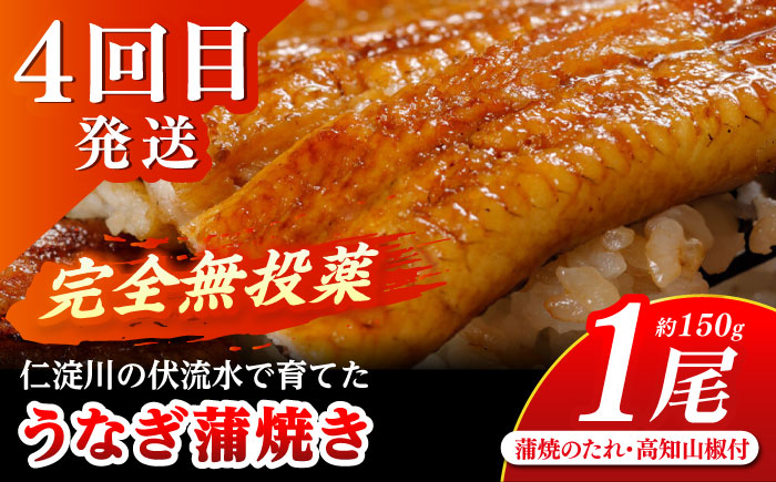 【4回定期便】高知のスタミナ定期便 /カツオ 食べ比べ 鰹のセット 鰹定期便 高知市 こだわりのかつお [ATZX022]
