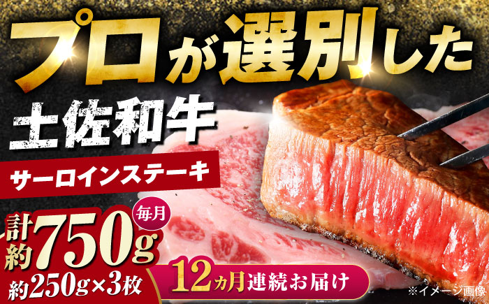 【12回定期便】土佐黒毛和牛 サーロインステーキ (約250g×3枚) 総計約9kg 【株式会社 四国健商】 [ATAF130]