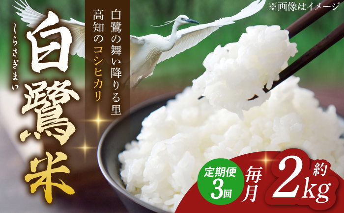 【3回定期便】 新米 R7年度産 特別栽培米 農薬節減！ 白鷺米 コシヒカリ 各約2kg 合計約6kg / 高知 米 お米 精米 　【津ノ宮農園】[ATBV0010]