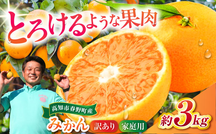 高知市春野町 西込さんの美味しいみかん 約3kg ご家庭用 ワケあり 【株式会社 四国健商】 [ATAF012]