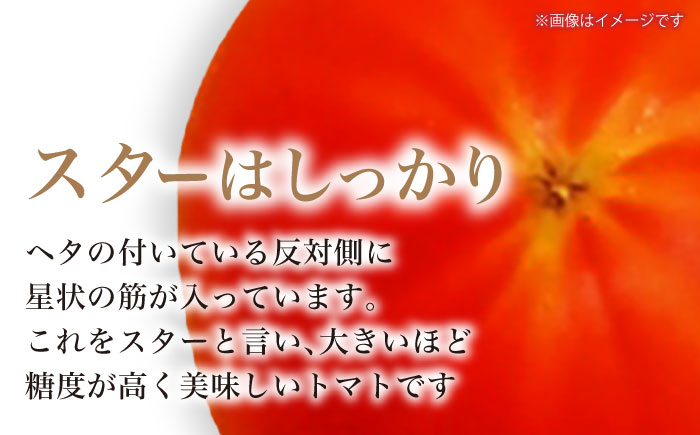 【先行予約】リサフルーツトマト 約2kg トマト とまと 野菜〈2025年1月より発送開始〉  【株式会社 堀】 [ATDA003]