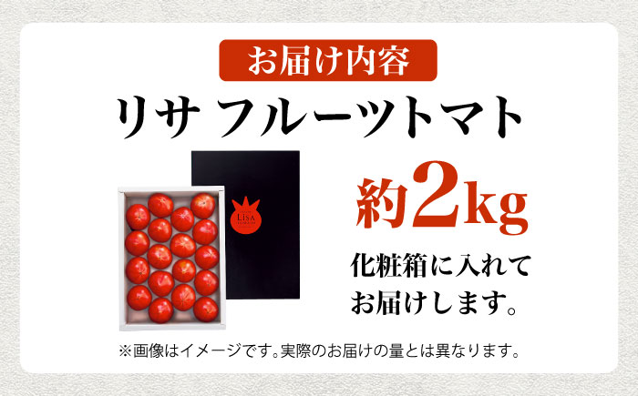 【先行予約】リサフルーツトマト 約2kg トマト とまと 野菜〈2025年1月より発送開始〉  【株式会社 堀】 [ATDA003]